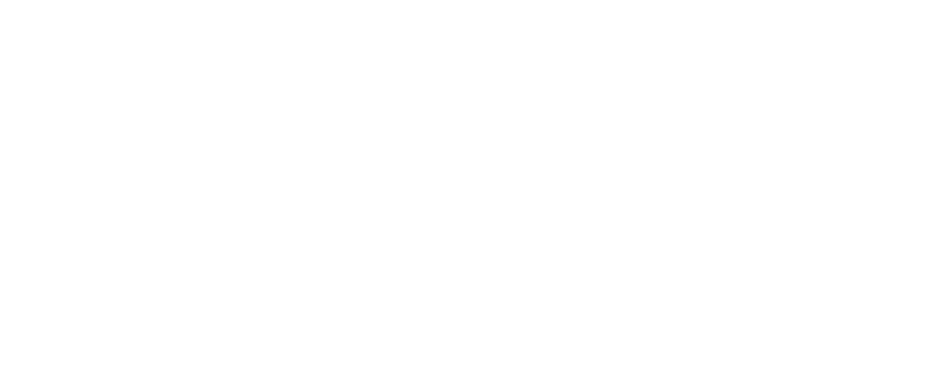 Logo Mundidrinks